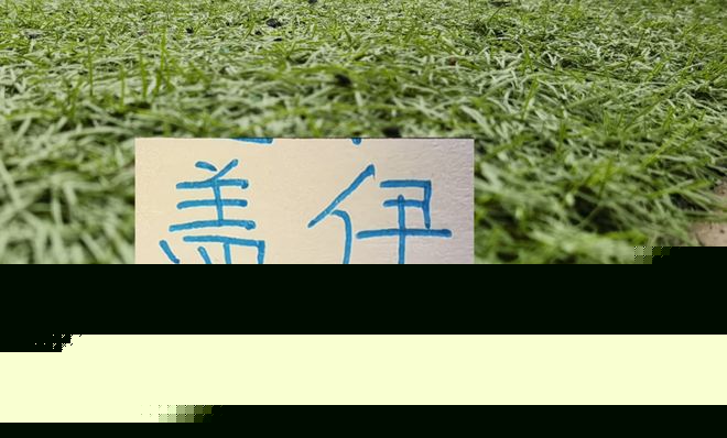申花好消息！28岁塞内加尔外援盖伊康复良好 上半程7场比赛5个进球